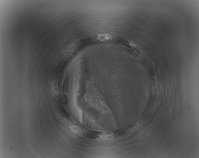 X0000067860606200604201335