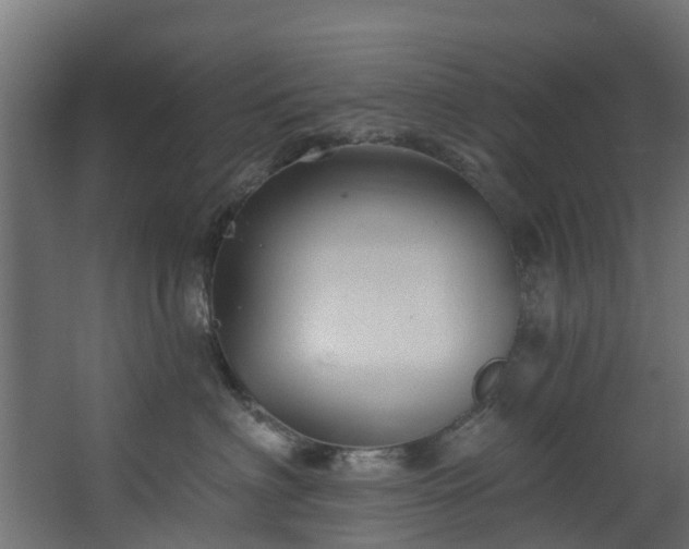 X0000067860622200604201335