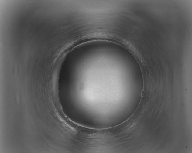 X0000067860625200604201334
