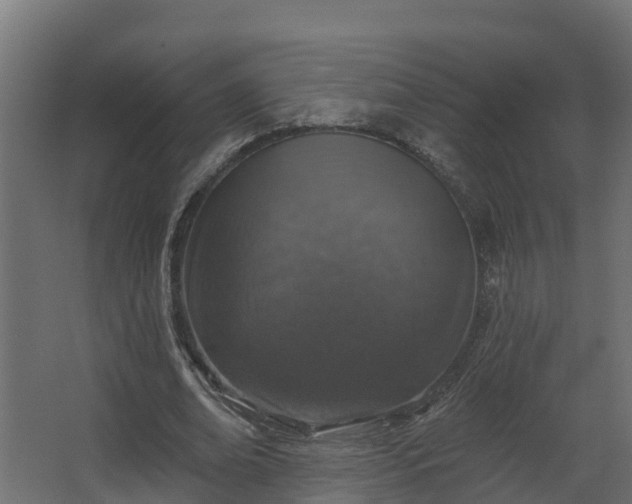X0000067860678200604201334