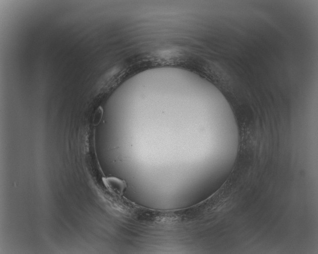 X0000067860694200604201334