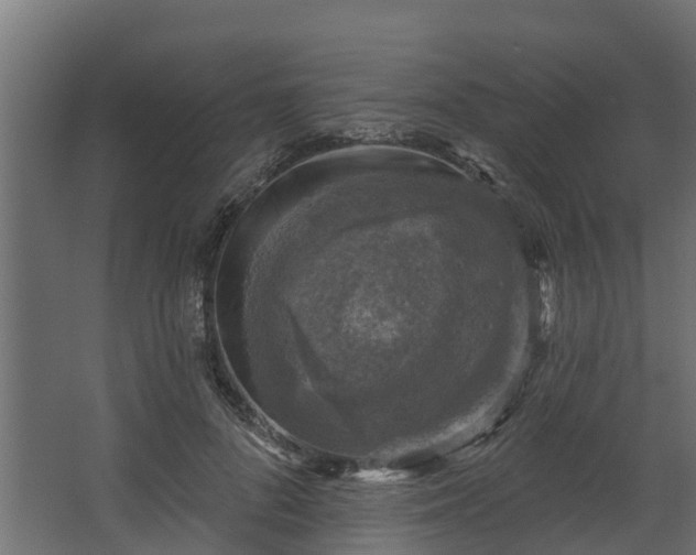 X0000067860696200604201334