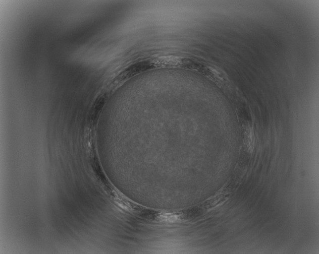X0000067860701200604201334