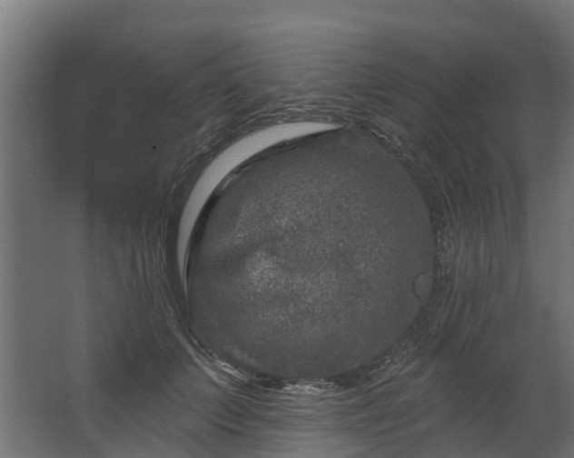 X0000067860703200604201334