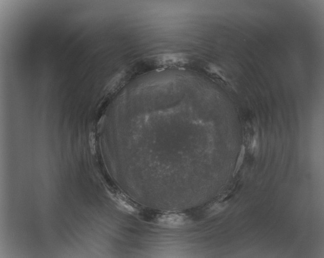 X0000067860716200604201334