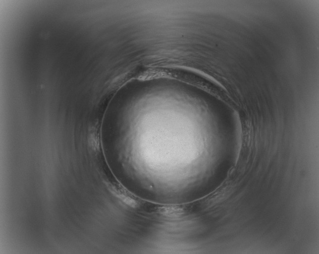 X0000067860719200604201334