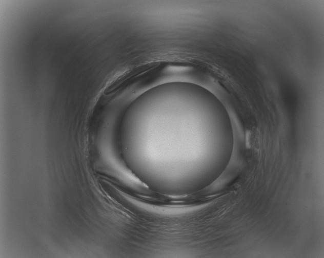 X0000067860731200604201333