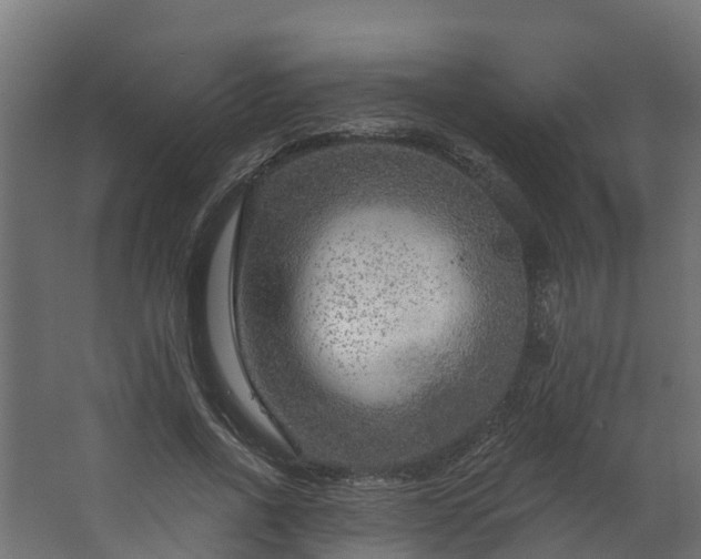 X0000067860734200604201333