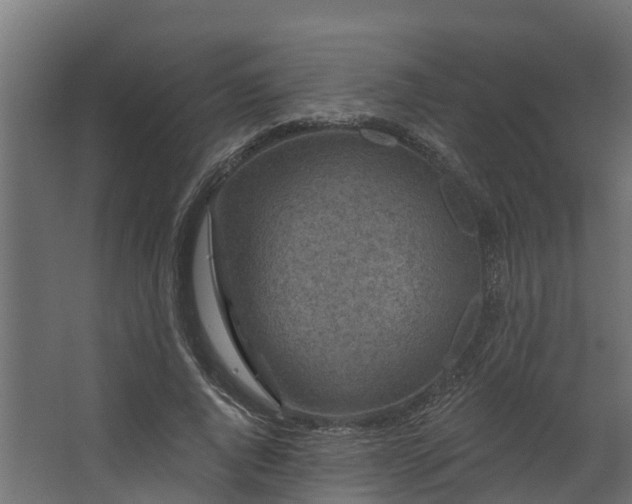 X0000067860736200604201333