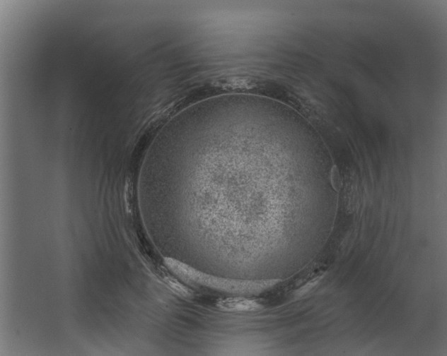 X0000067860747200604201333