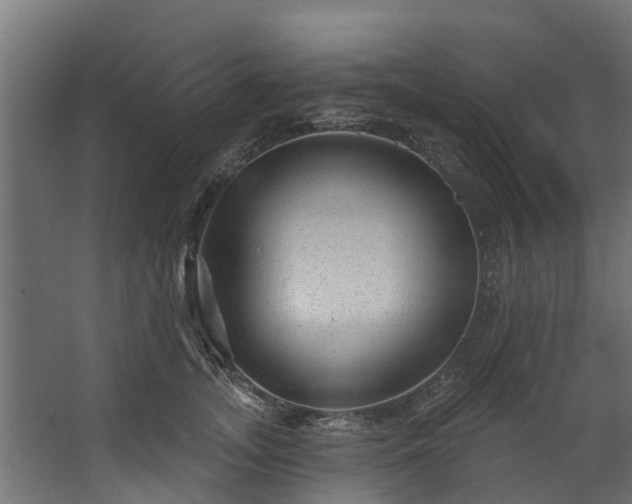 X0000067860755200604201333