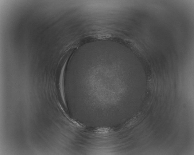 X0000067860757200604201333
