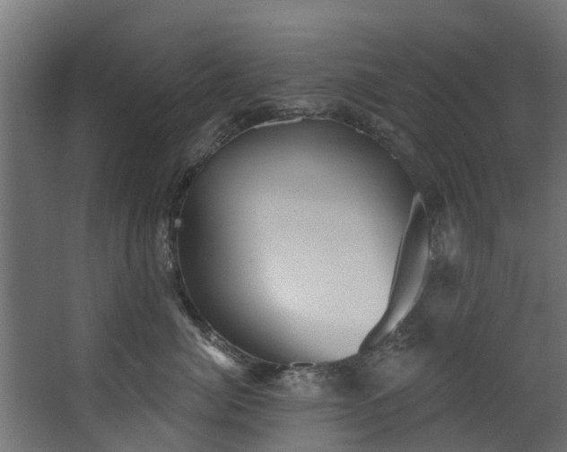 X0000067860764200604201333