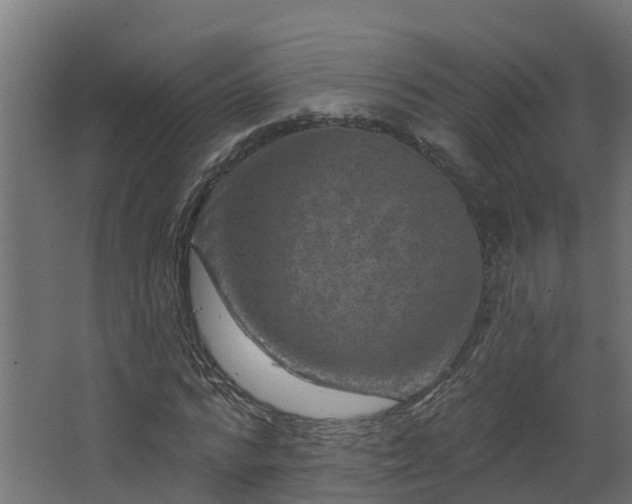 X0000067860776200604201333