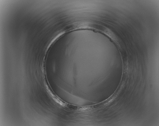 X0000067860806200604201332