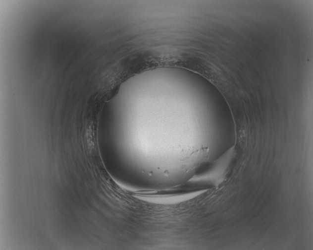 X0000067860866200604201331