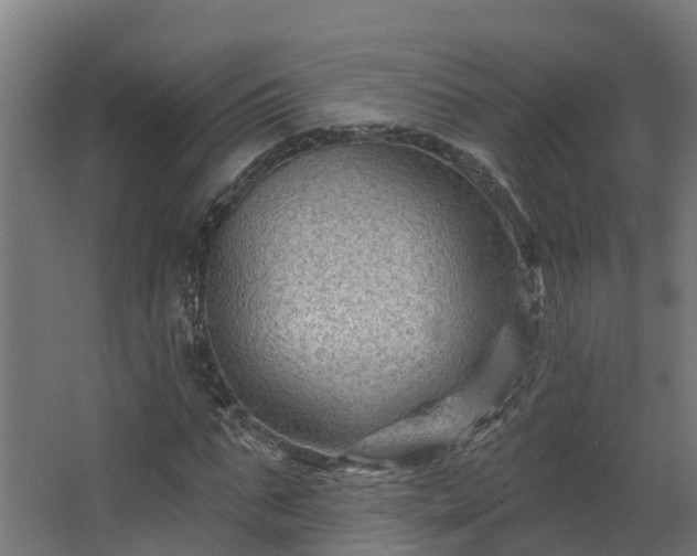X0000067860871200604201331