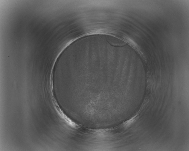 X0000067860892200604201331