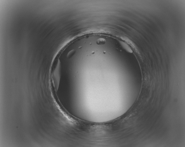 X0000067860894200604201331