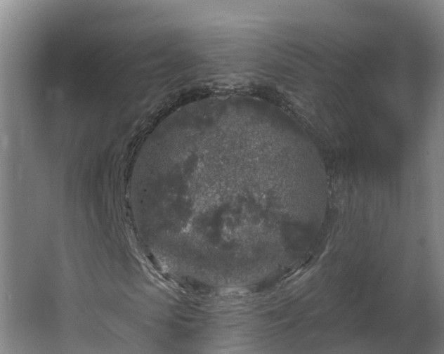 X0000067860913200604201329