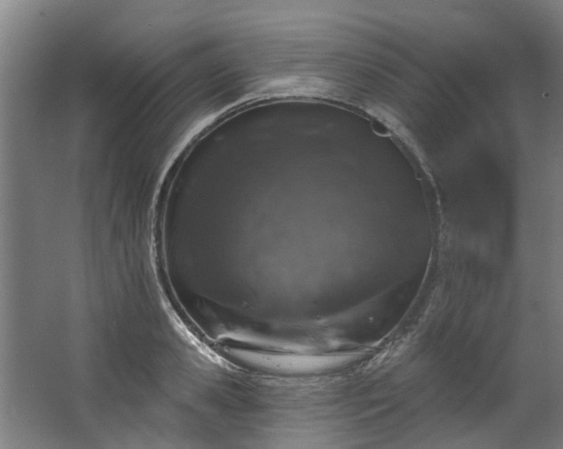 X0000067860941200604201330