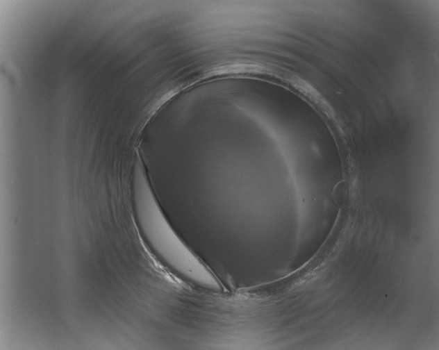 X0000067860945200604201330