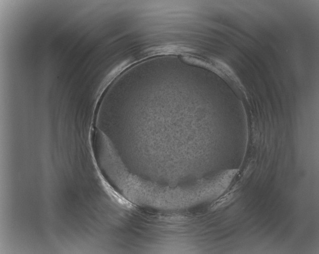 X0000067860946200604201330