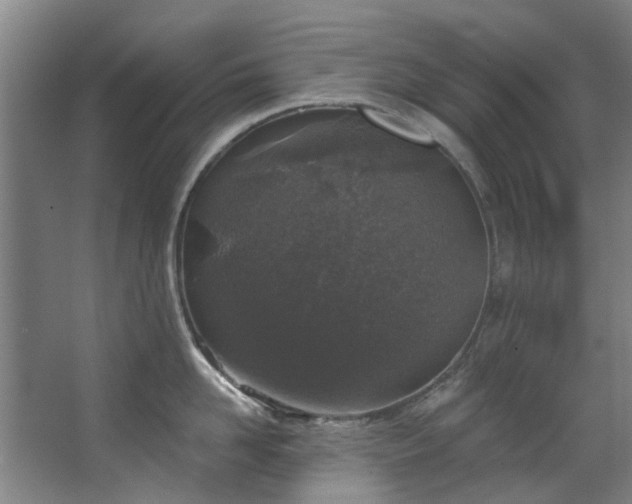 X0000067860958200604201330