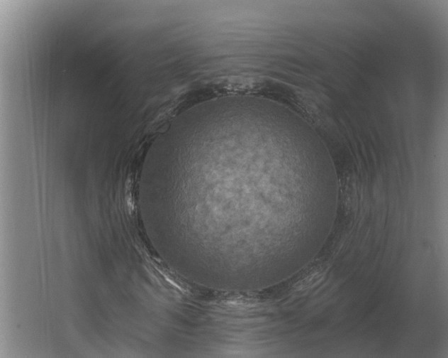 X0000067860962200604201329