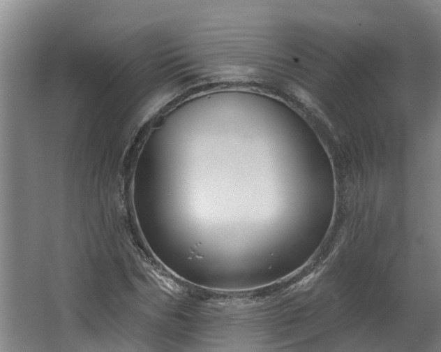 X0000067860970200604201329