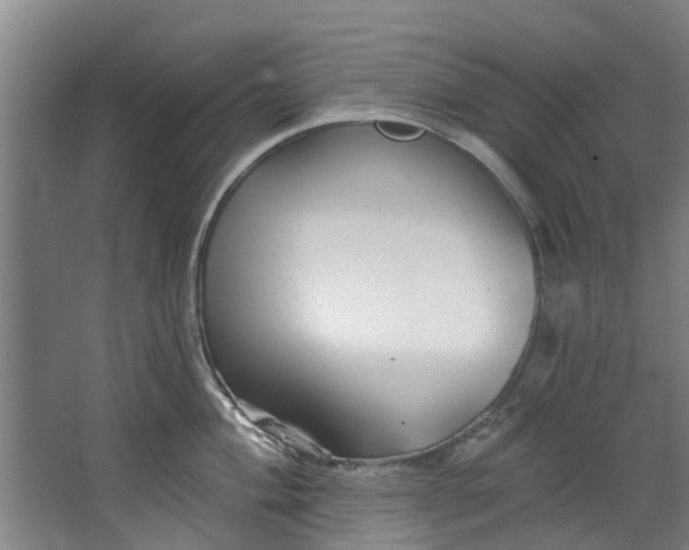 X0000067861004200604201329