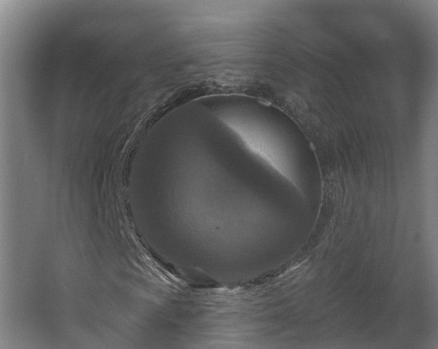 X0000067861009200604201328