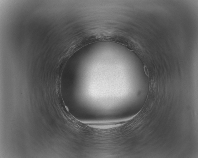 X0000067861012200604201328