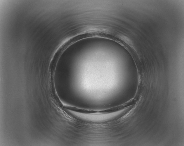 X0000067861021200604201328
