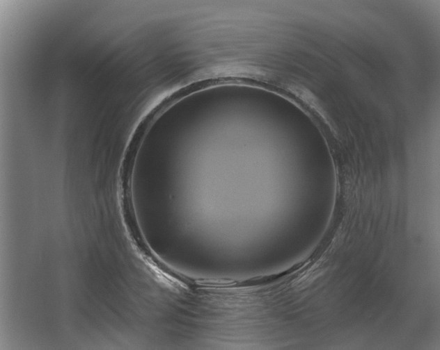 X0000067861024200604201328