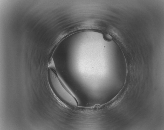 X0000067861033200604201328