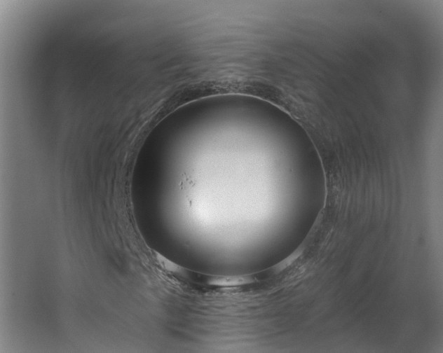 X0000067861057200604201328