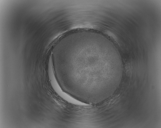 X0000067861064200604201328
