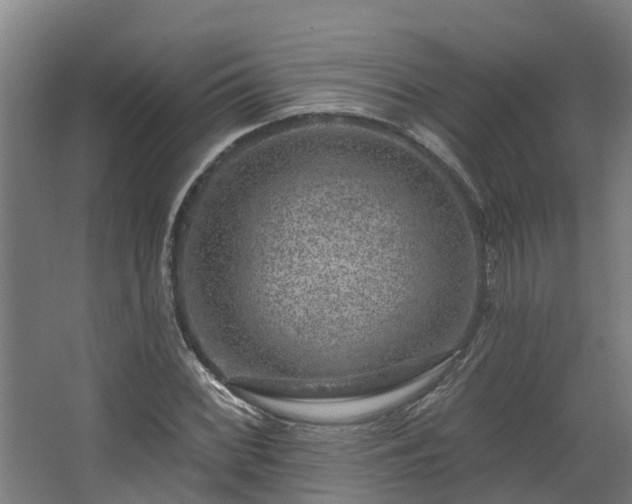 X0000067861068200604201328