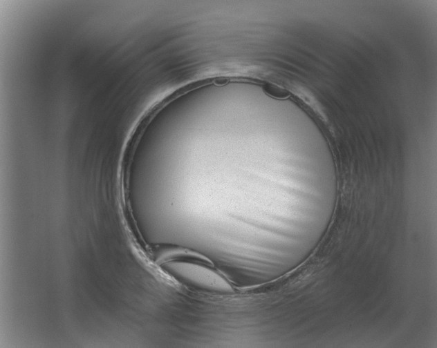 X0000067861080200604201327