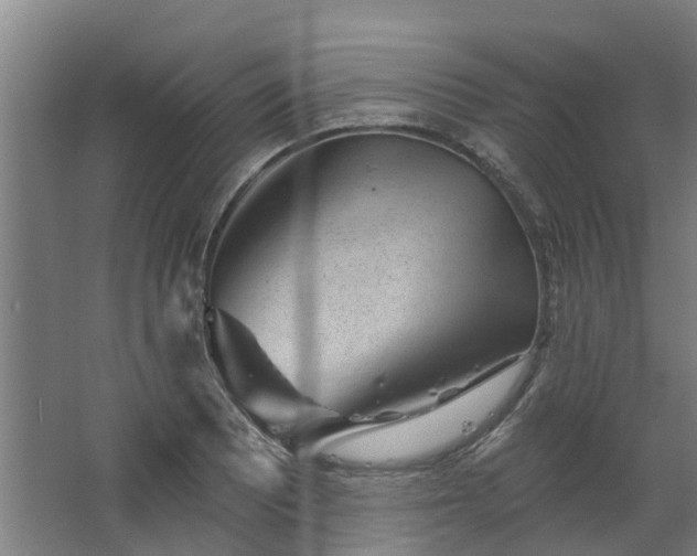 X0000067861081200604201327