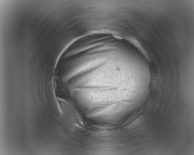 X0000067861100200604201327
