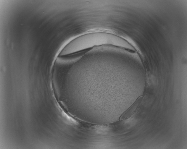 X0000067861102200604201327