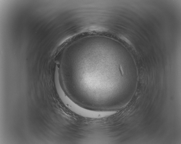 X0000067861112200604201326