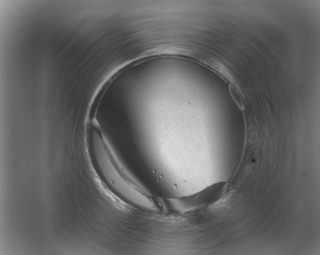 X0000067861132200604201327