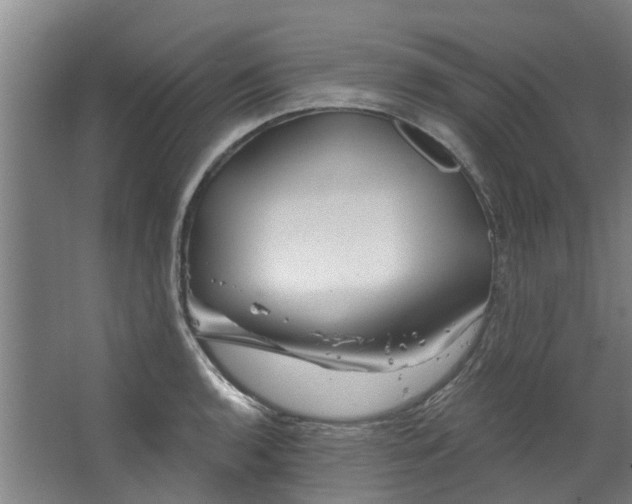 X0000067861136200604201327