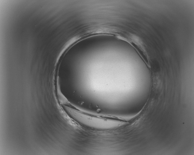 X0000067861138200604201327