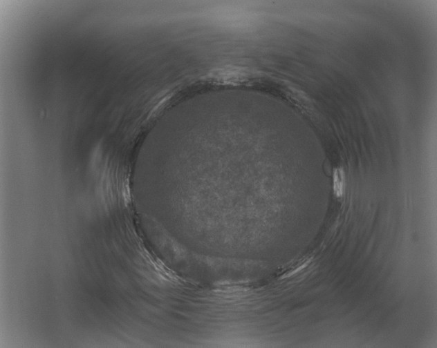 X0000067861155200604201326