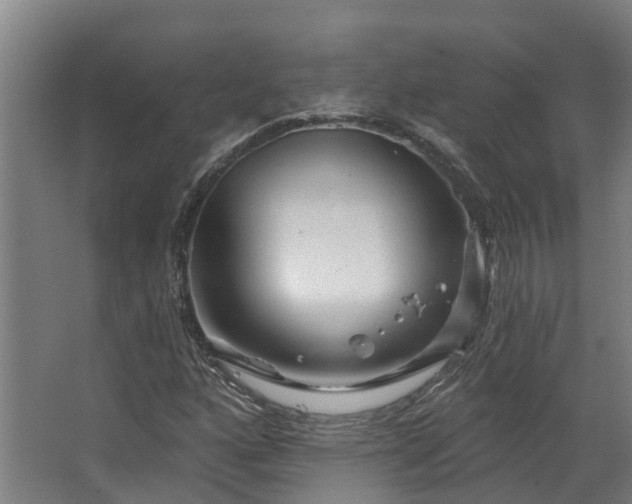 X0000067861160200604201326