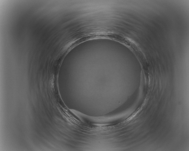 X0000067861161200604201326
